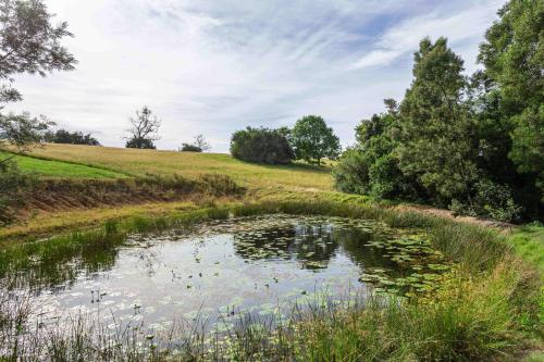 Forest Glades Forest Glades