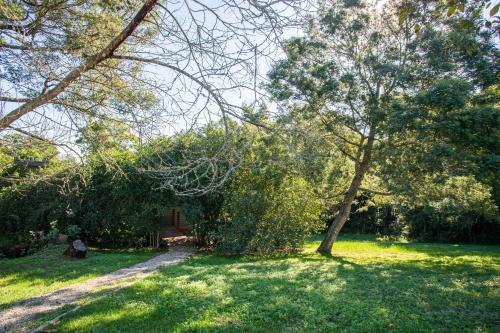 Forest Glades in كنيسنا