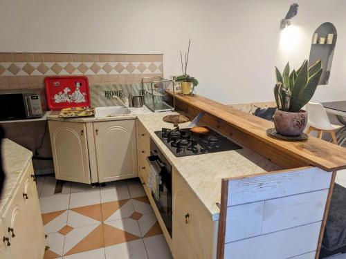 Kitchen, Lamaisondugenie in Saint-Pancrace