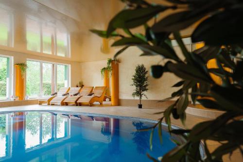 泳池, 西貝爾格酒店 (Seeberg) in 弗朗齊歇克礦泉村