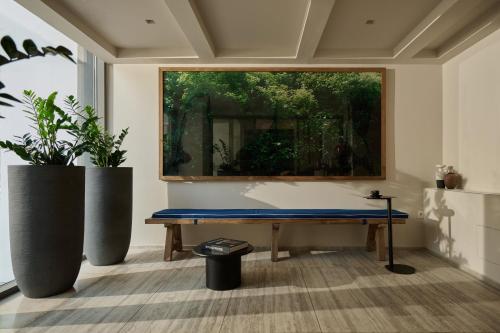 VISION OMONIA ATHENS - image 43