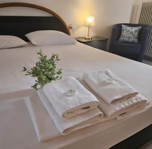 1 queen bed, 2 twin beds