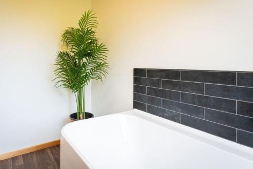 Chapman House Auckland in وايتاكير