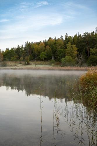 Skeviks Gård - image 12