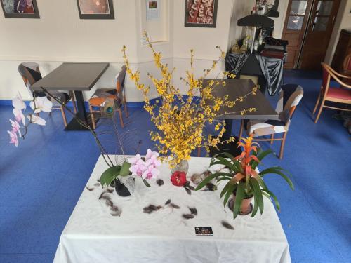 Restaurant, Hotel Saint julien aux bois in Saint-Privat