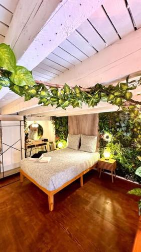 Jungle avec Jaccuzi au coeur de Nice 3