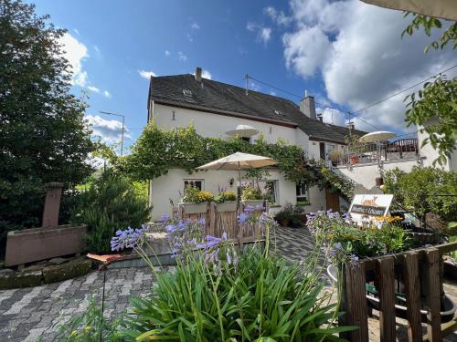 Viesnīcas āriene, Ferienweingut Matthias Lowen in Detzem