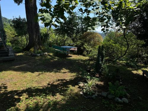 House on Magnolii 1 House on Magnolii 1