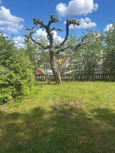 Nordic Central Villa, Sztokholm (zdjęcie 9)