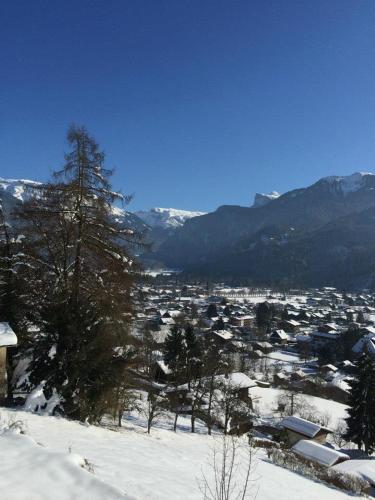 Edelweiss - main image