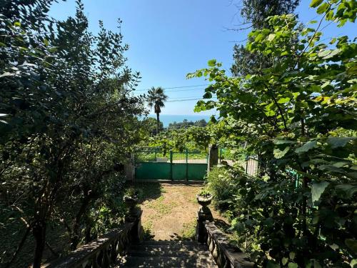 House on Magnolii 1 House on Magnolii 1