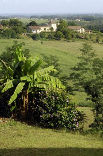 Albret in Mugron