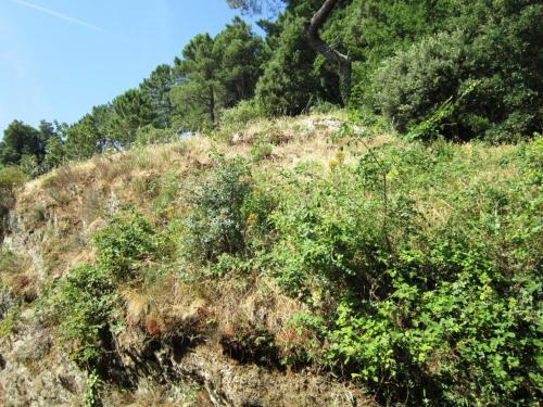 Le gite ambert Le gite ambert