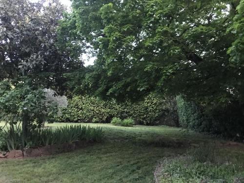 Chez manou Chez manou