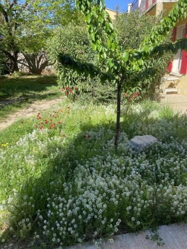 Chez manou Chez manou