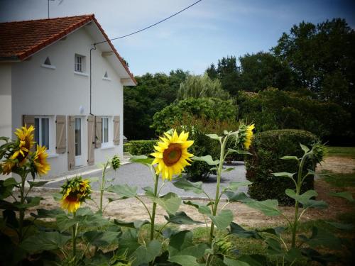 Chez regine in Angoume