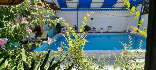 Garden Guest House, Tirana (zdjęcie 5)