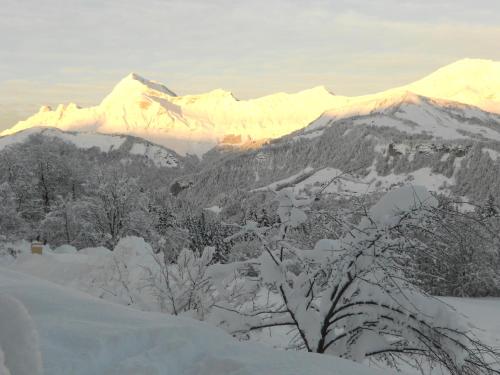 Chalets Savoie - image 5