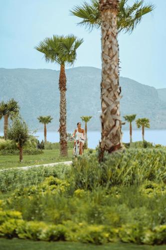 Ikos Aria - صورة 3