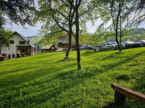 Casa Sufletului - Avram Iancu