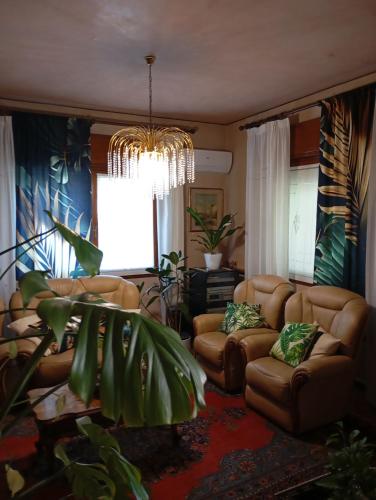 49 Le Contesse Ide - Ormelle