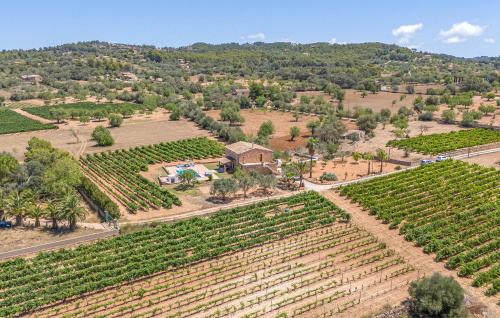 Nice Home In Felanitx