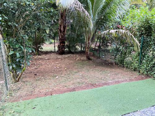 สภาพแวดล้อมโดยรอบ, La Fraîcheur d'Alizé - Piscine - Plage - Jardin (La Fraicheur d'Alize - Piscine - Plage - Jardin) in เรอมีร์-มงโฌลี