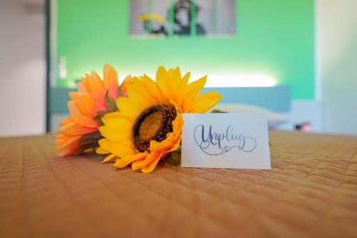Unplug 1