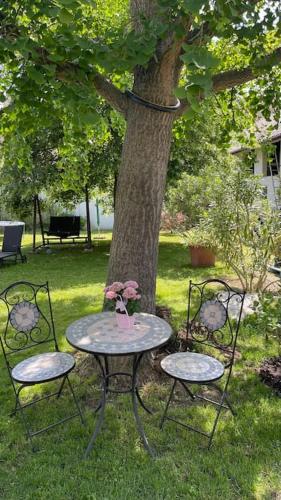 สวน, Charmantes Cottage Appartement in เพิทเทลสดอร์ฟ