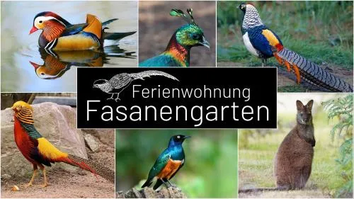 Fasanengarten in Traunreut in Traunreut, Deutschland