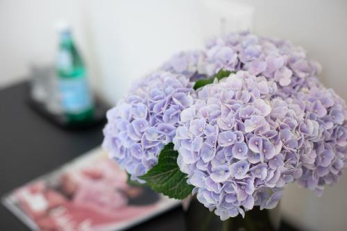 Belli Boutique Guest House - image 11