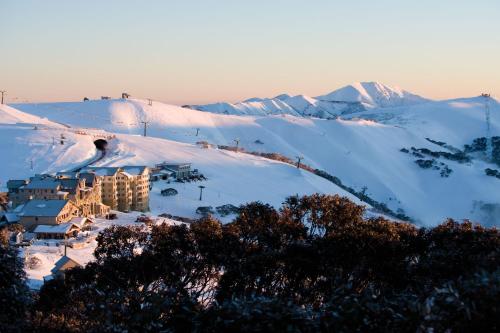 Red Robin, Mount Hotham (Foto 2)