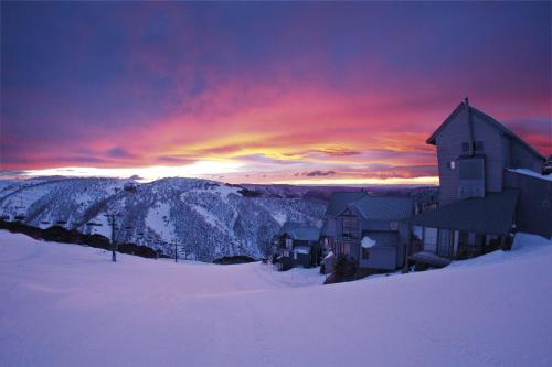 Red Robin, Mount Hotham (Foto 3)