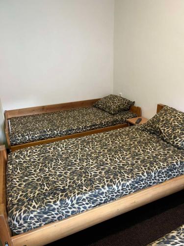 Accommodation in Toplica