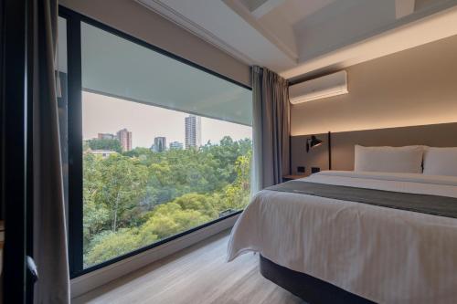 Lettera Hotel, Medellín (photo 3)