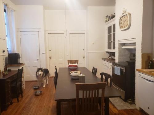 private room in East Village apartment in New York, USA