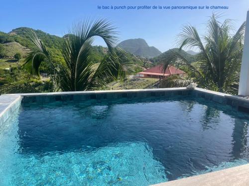 Surrounding environment, Le Paradis creole in Terre-de-Haut