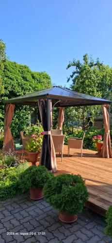 Apartamentai šalia baseino (Apartamentai salia baseino) in 帕蘭加