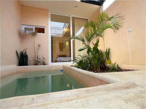 Casa Arena Pool And Mountain Views, Antigua Guatemala (foto 5)
