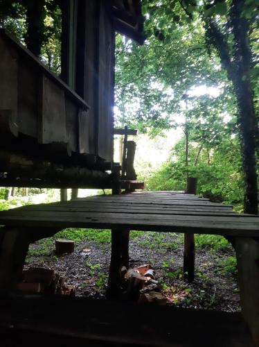 Baumhausnächte (Baumhausnachte) in 拉德貝跟