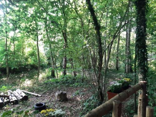 周邊環境, Baumhausnächte (Baumhausnachte) in 拉德貝跟