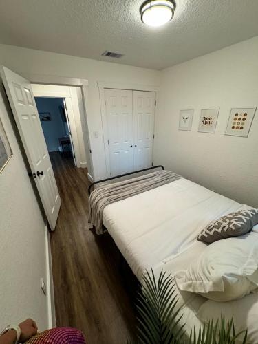 Pet Friendly 3 bedroom with a Cowboy Pool close to Congress in Austin, USA