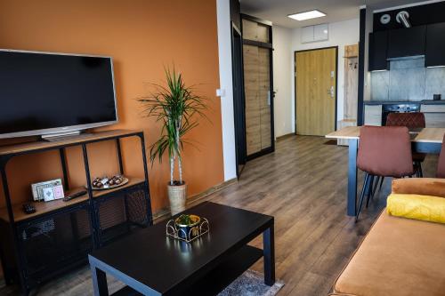 Apartament Ginger - Stare Miasto - bezpłatny parking - YouTube Apartament Ginger we Wrocławiu, Breslau (Foto 4)
