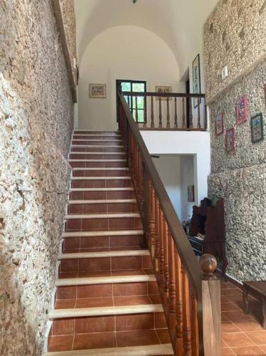 Tepich Casa en hacienda con cenote en la selva maya in Valladolid, Mexico