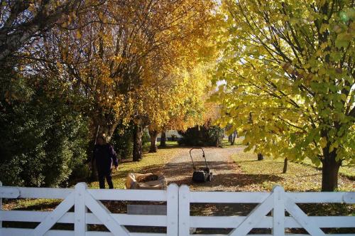 Oliver's Farmstay in Temuka
