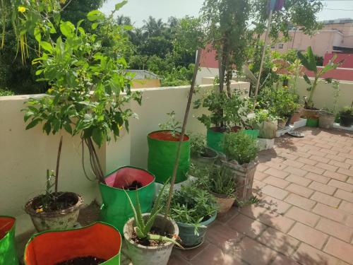 The Upper Deck, Chennai (foto 7)