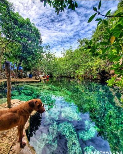 KaLet Tulum tu Mágico lugar, Te espera 4