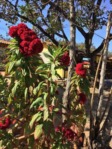 Pousada Matuto Cipó