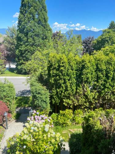 Cozy Guest Rooms Near UBC, Downtown and Beaches in Vancouver, Canada