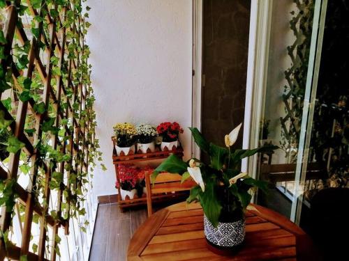 Hermoso Depto en Club Burgos Bugambilias Temixco in Tres de Mayo